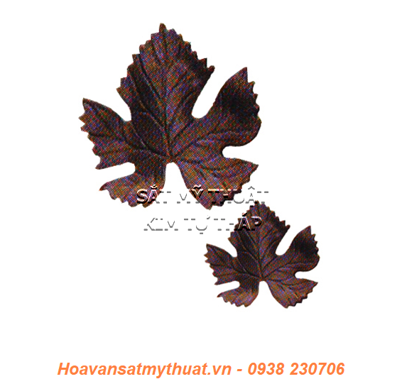 hoa lá sắt mỹ thuật